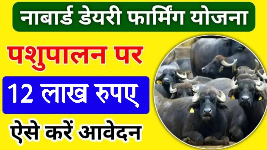 Dairy Farming Loan : पशुपालकों को डेयरी फार्म खोलने के लिए सरकार देंगी 12 लाख रुपए, यहां करें आवेदन 