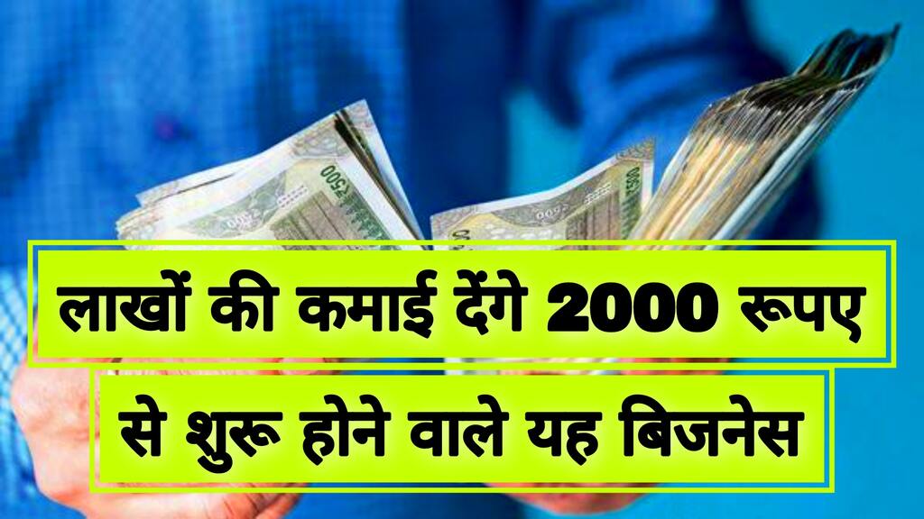 Business Idea : मात्र 2000 रूपए से शुरू करें यह 5 बिजनेस, कम खर्च में होंगी तगड़ी कमाई 